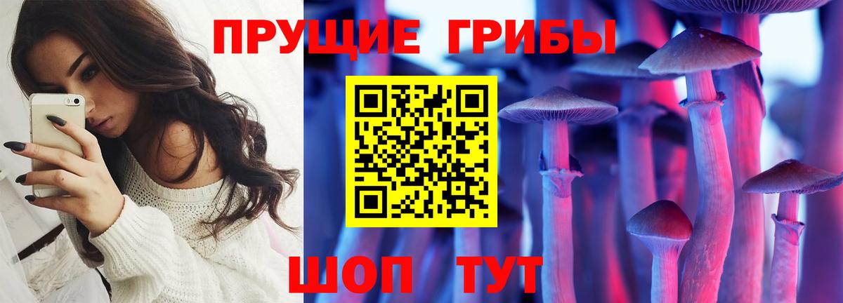 Псилоцибиновые грибы Psilocybe Феодосия